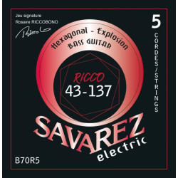 Jeu de 5 cordes pour basse Hexagonal Explosion Signature Ricco 43-137
