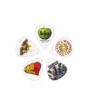 Boîte de 10 médiators Beatles