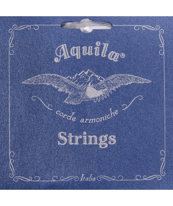 Strings bass Rayon 800 