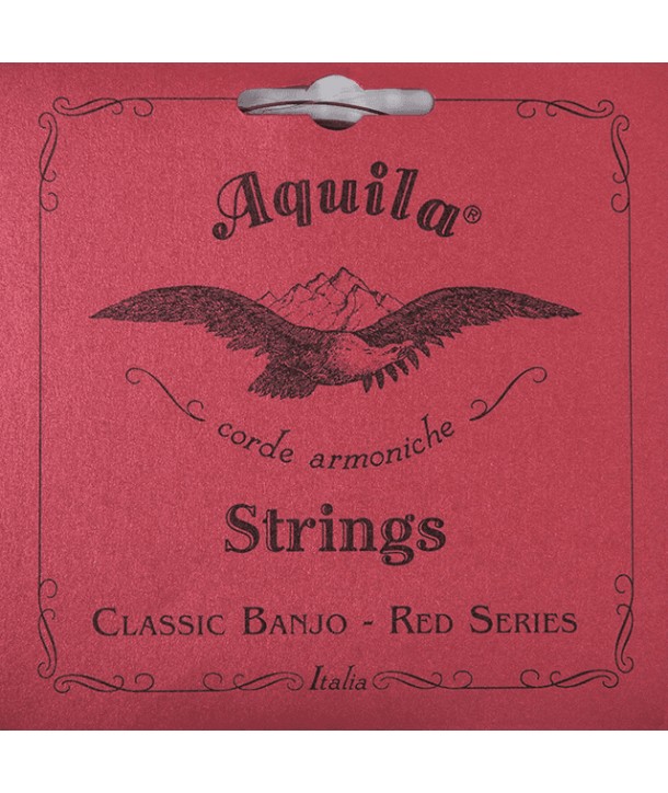 Set of strings for Banjo chord dgbDg