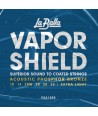 Westerngitarre 6-Saiten Vapor Shield 10 - 50