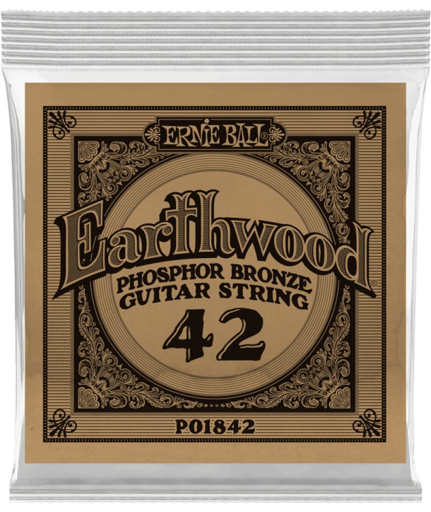 Corde à l'unité Folk Earthwood Phosphore Bronze 42