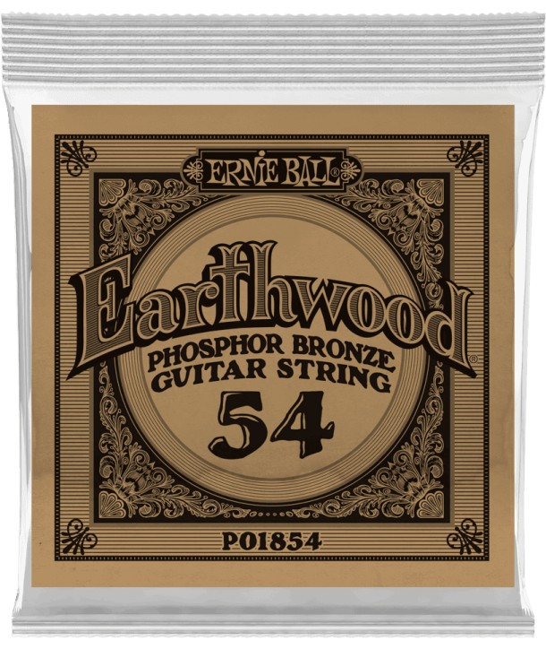 Corde à l'unité Folk Earthwood Phosphore Bronze 54