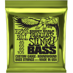 Jeu de cordes Regular Slinky Bass 50-105 Short scale