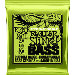 Jeu de cordes Regular Slinky Bass 50-105 Medium scale