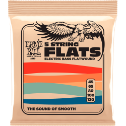 Jeu de 5 cordes basse Groupe 3 Flats 45-130