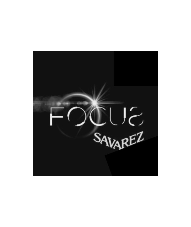 Einzelsaite für Bassgitarren Focus F70/45