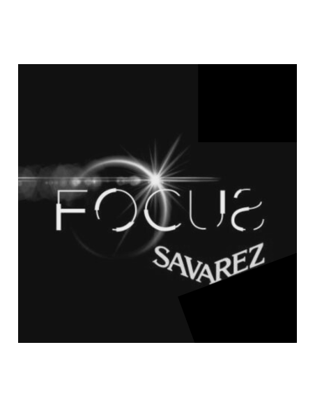 Single bass string Focus F70/45
