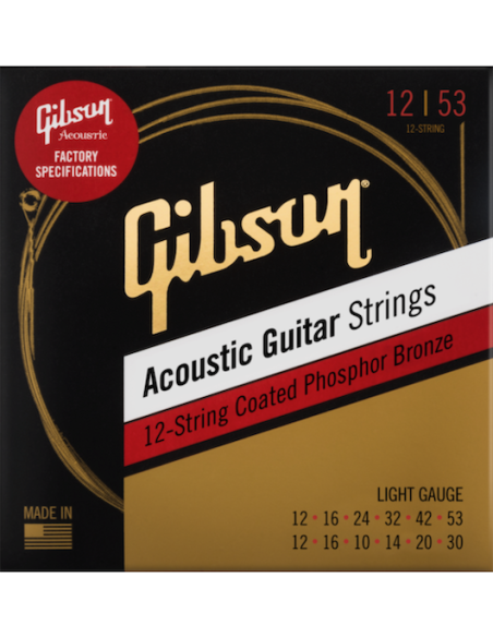 Jeu de 12 cordes acoustiques Phosphore bronze light 12-53