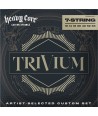 copy ofElectric strings se Signature Zakk Wylde 10-60