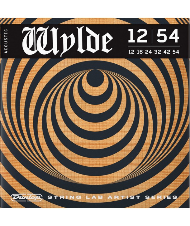 copy ofcopy ofcopy ofFolk string set Zakk Wylde Signature Light 12-54