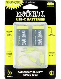 Pile 9v Rechargeable Via Usb - C - Pack 2