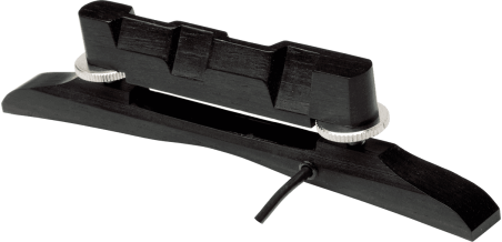 Capteur M-300 Nashville - Mandoline
