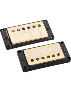 Antiquity Humbucker Kit Gold Pickup