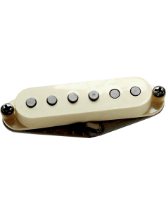 Micro Antiquity II Strat Surf manche crème