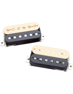 Micro Slash Alnico II Pro - kit - 4cond - zebra