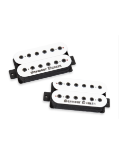 Micro Humbucker Blackened Black Winter - blanc - set