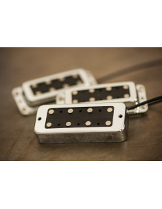 Micro basse Custom Shop Signature Lemmy Kilmister - set N - B - nickel Pickup