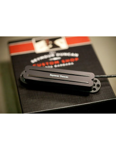 Micro Hot Rails Strat 7 cordes - manche - noir