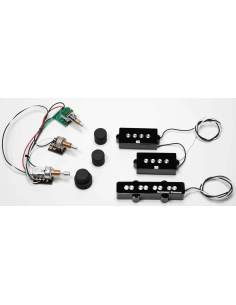 Micro Signature Rex Brown - PJ - kit - noir