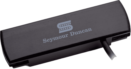 Micro Woody Hum-Canceling - noir