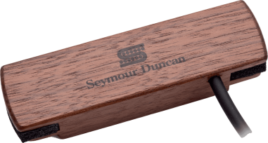 Micro Woody Hum-Canceling - noyer