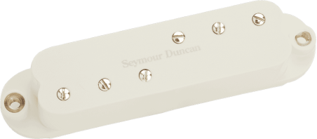 Duckbuckers Strat - manche - parchemin Pickup