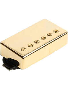 Custom 5 - chevalet - gold Pickup