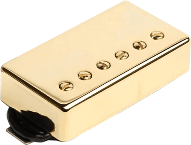 Custom 5 - chevalet - gold Pickup