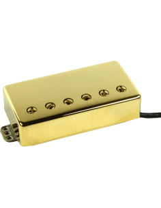 JB Trembucker - chevalet - gold Pickup
