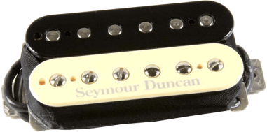 JB Trembucker - chevalet - zebra Pickup
