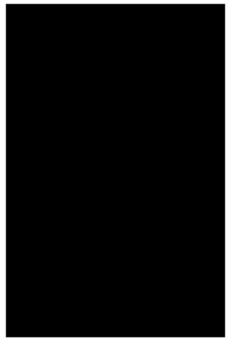 Plastic Pickguard - Black - 3-Ply