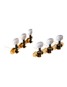 Tuning machine set for classical guitar, Family Pro series, 14:1 ratio, gold plates, pearl white buttons