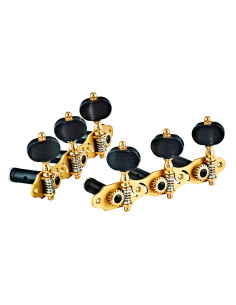 Jeu de mécaniques pour guitare classique série Private, ratio 18:1, plaques laiton brossé, boutons noirs style ébène