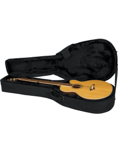 Acoustic bass guitar lightweight legacy hybrid case