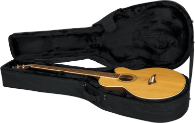 Acoustic bass guitar lightweight legacy hybrid case