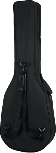 Acoustic bass guitar lightweight legacy hybrid case
