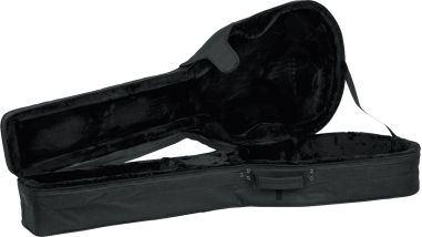 Acoustic bass guitar lightweight legacy hybrid case