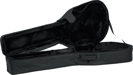 Acoustic bass guitar lightweight legacy hybrid case