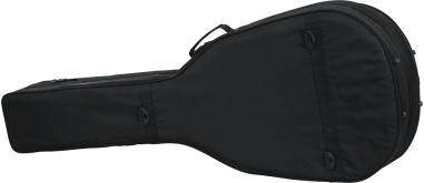 Acoustic bass guitar lightweight legacy hybrid case