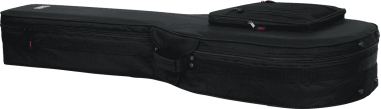 Acoustic bass guitar lightweight legacy hybrid case