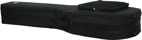 Acoustic bass guitar lightweight legacy hybrid case