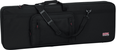 Electric guitar lightweight legacy hybrid case