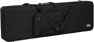 Bass guitar lightweight legacy hybrid case