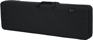 Bass guitar lightweight legacy hybrid case