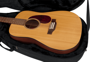 12 strings dreadnought guitar lightweight legacy hybrid case