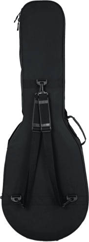 Les Paul style guitar lightweight legacy hybrid case