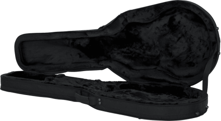 Les Paul style guitar lightweight legacy hybrid case