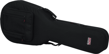 Les Paul style guitar lightweight legacy hybrid case