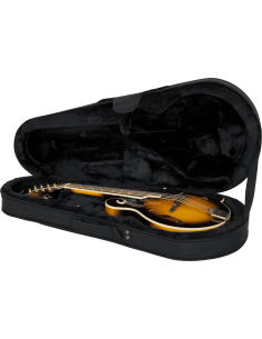 Mandolin lightweight legacy hybrid case